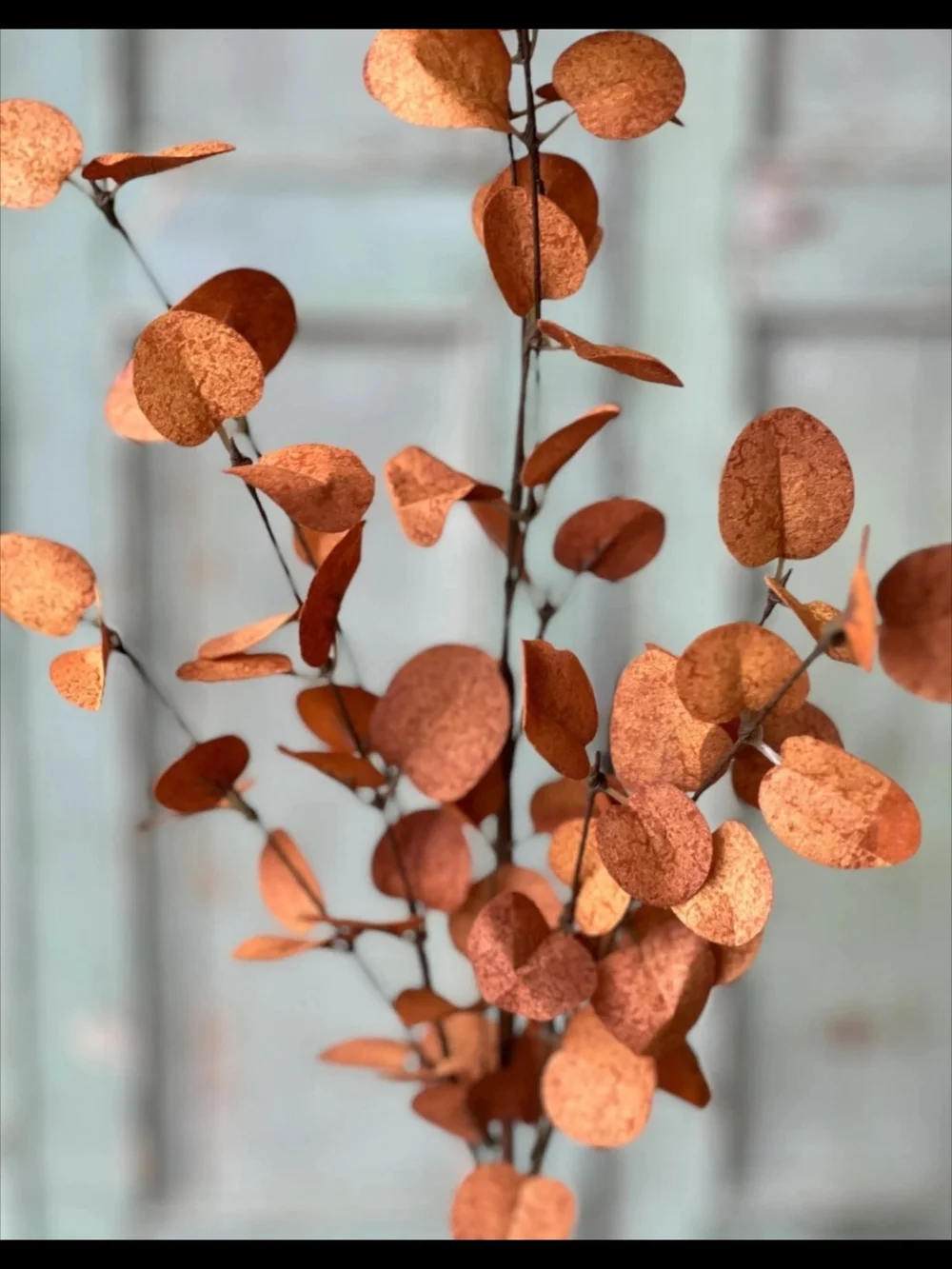 Rust Orange Faux Eucalyptus Stem - Decorative Home Accent